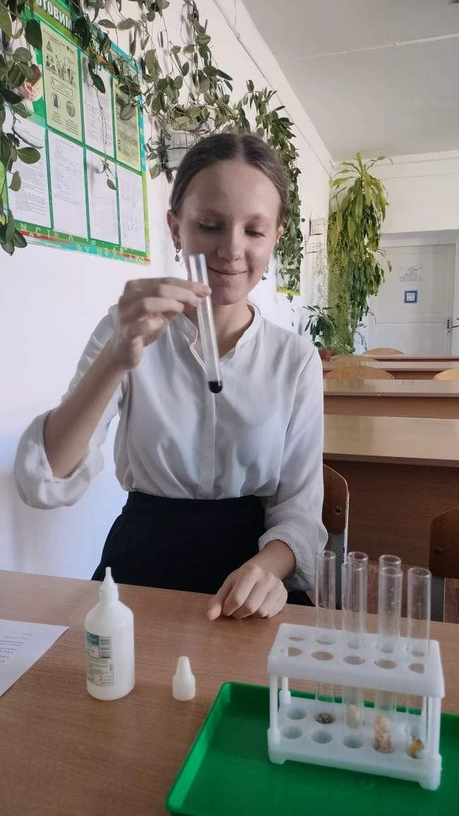 Изображение 5